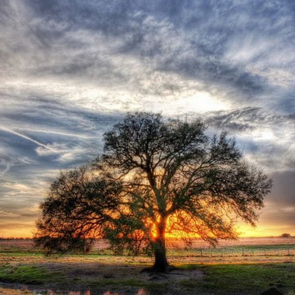 Meet your Posher, @lindenbreeze 💋 - Picture 7 of 8